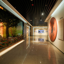 豫见奇妙动物标本馆