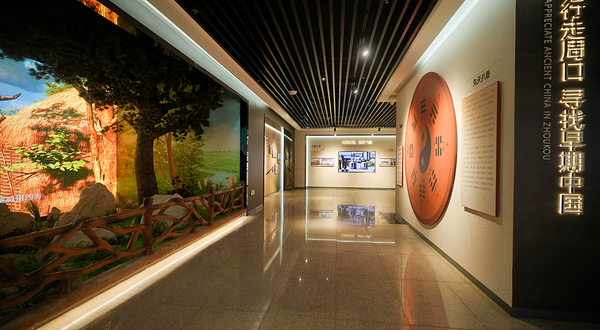 豫见奇妙动物标本馆