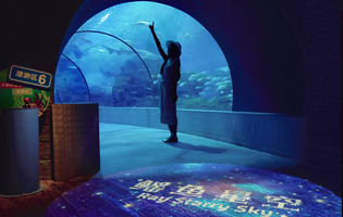 上海长风海洋世界