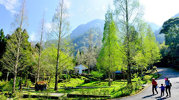 溪头自然教育园区