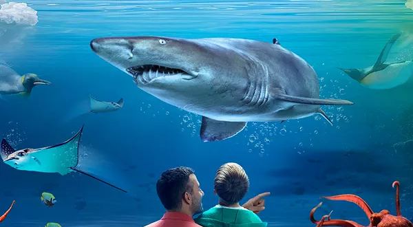 凯利塔顿海底世界