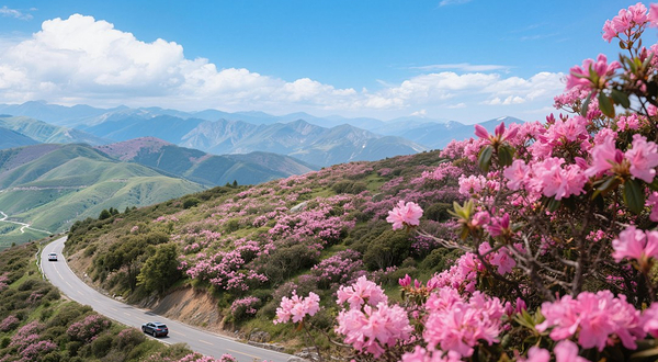 神农架风景区