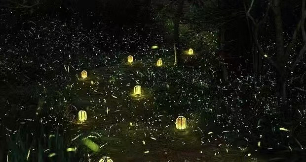 无锡萤火虫馆