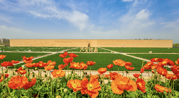 只有河南·戏剧幻城