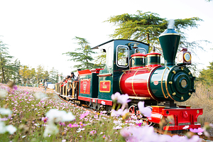 南京松鼠部落森林假日公园