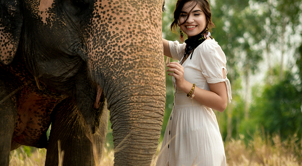 普吉岛大象丛林保护区