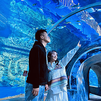 宁夏幻太奇海洋公园