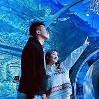 宁夏幻太奇海洋公园