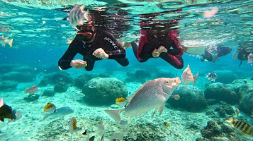 三亚专业雷达海钓俱乐部