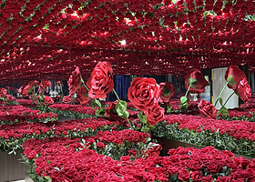 策大师|了不起的艺术大师·从莫奈到梵高艺术装置展