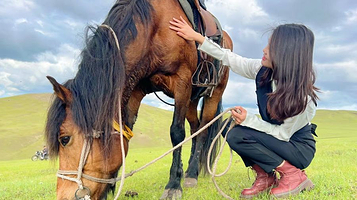 黑山头敖驰马场