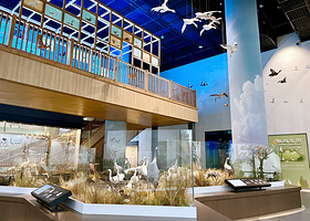 鄱阳湖国际湿地候鸟馆