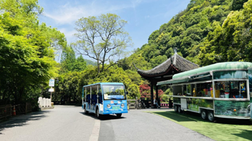 西湖观光游览车