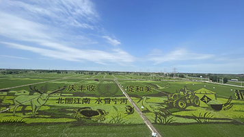 七里海宁和稻香农文旅生态园景区