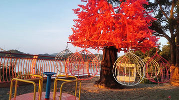 镜花缘·开心乐园