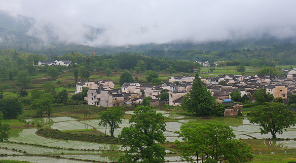 卢村