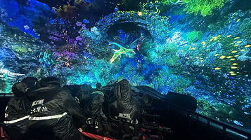 百慕大冒险(民生百货骡马市店)