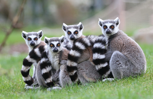 乐环球动物主题乐园