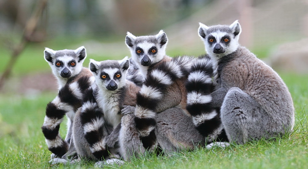 乐环球动物主题乐园