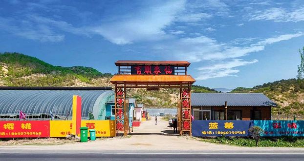 有朋农场采摘园