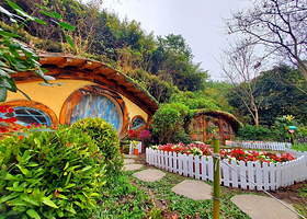 哈比丘茶树森林