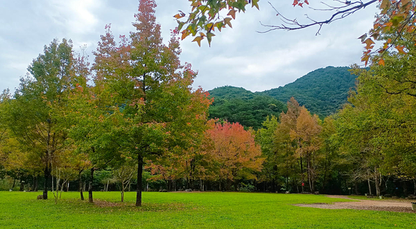 十万大山国家森林公园