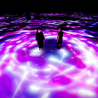 丰洲teamLab Planets TOKYO美术馆