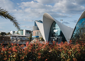 瓦伦西亚海洋公园