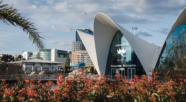 瓦伦西亚海洋公园