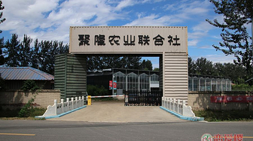 聚隆农业农民专业合作社联合社