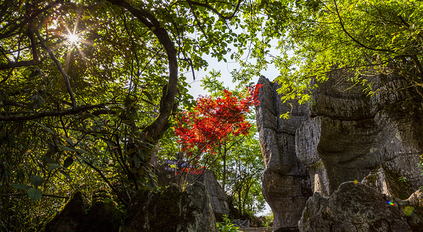 山王坪喀斯特国家生态公园