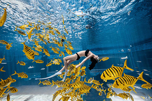 佳潜潜水水下摄影俱乐部