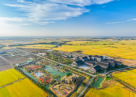 雪枫军政大学训练营