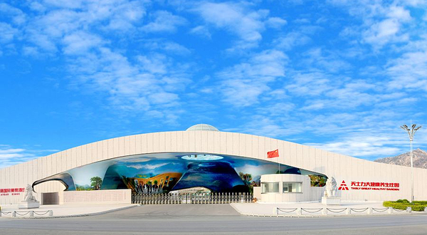 金士通国际葡萄酒庄