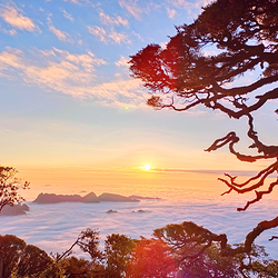 金秀圣堂山景区