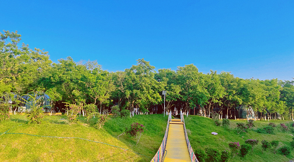 海南花梨谷文化旅游区