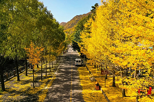 洛阳白云山风景区