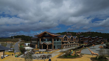 南阳长颈鹿欢乐世界