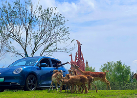 宿迁森迪野生动物世界