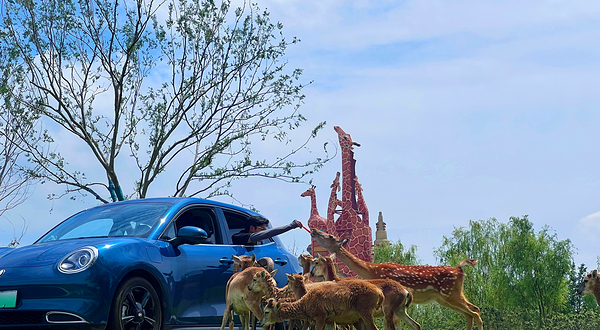 宿迁森迪野生动物世界