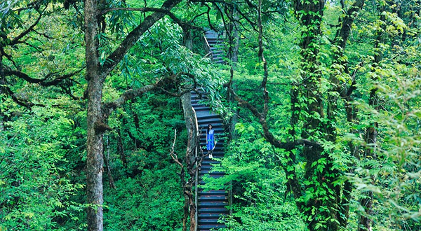 龙苍沟国家森林公园