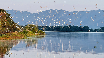 天湖鹭鸟生态风景区