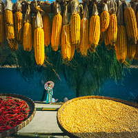 新安江山水画廊