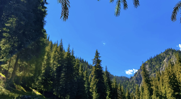 南山牧场西白杨沟景区