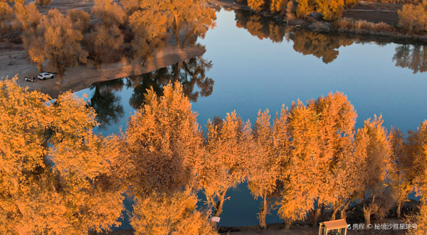 139胡杨秘境自驾公路