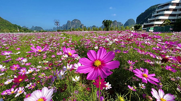 凤凰·山水尚境