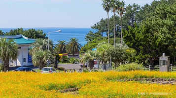 中文旅游观光区