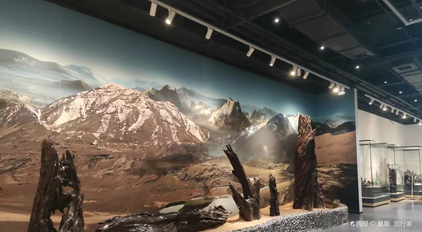 华夏神木博物馆