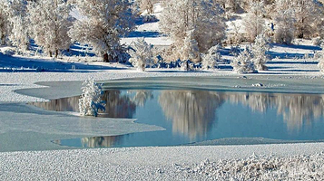 罗布淖尔国家湿地公园