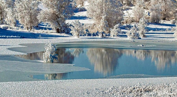 罗布淖尔国家湿地公园